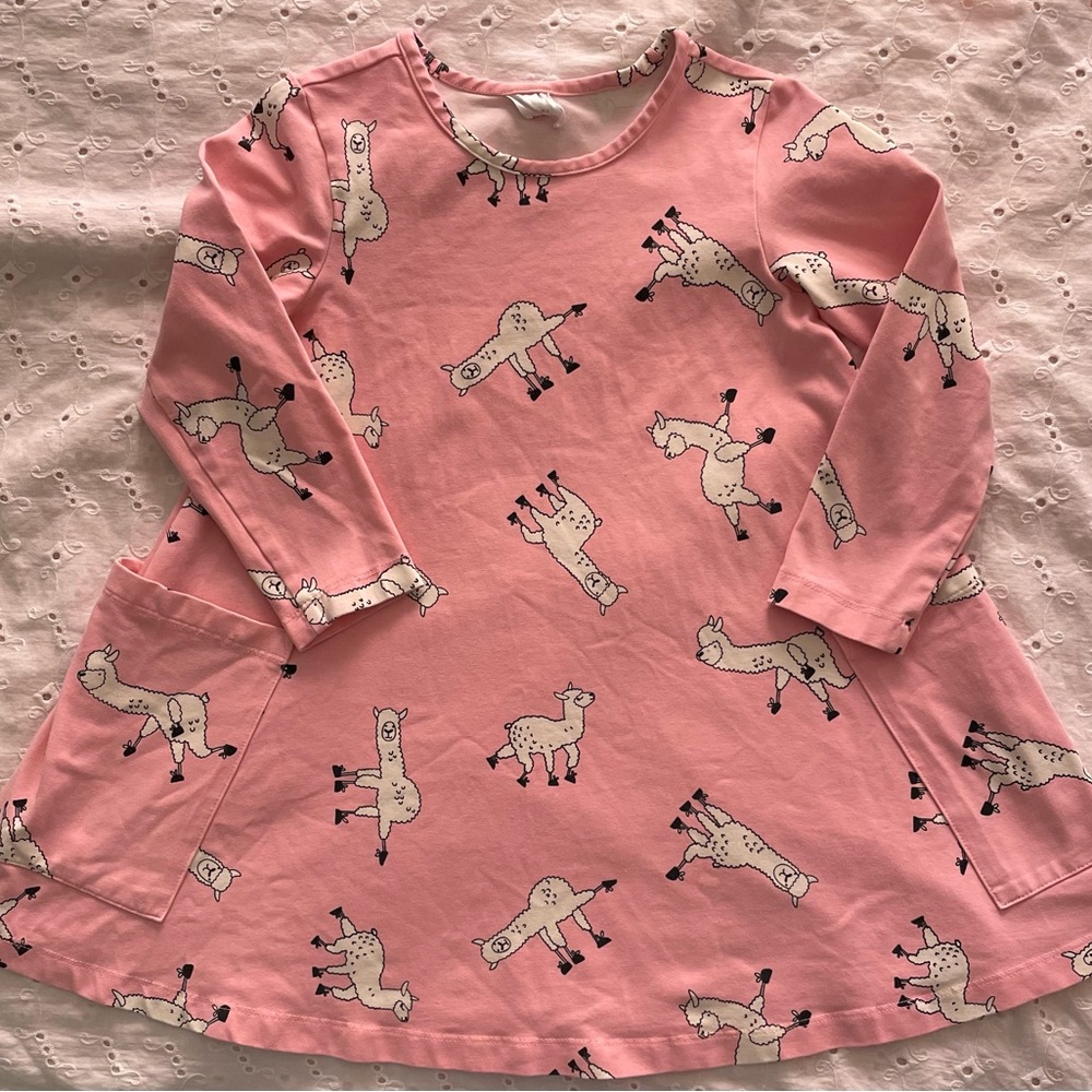 Bundle Hanna Andersson Dresses Size 4T